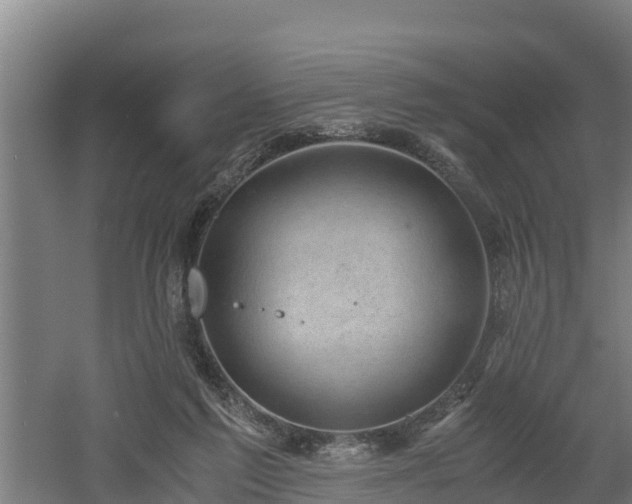 X0000060570213200511071028