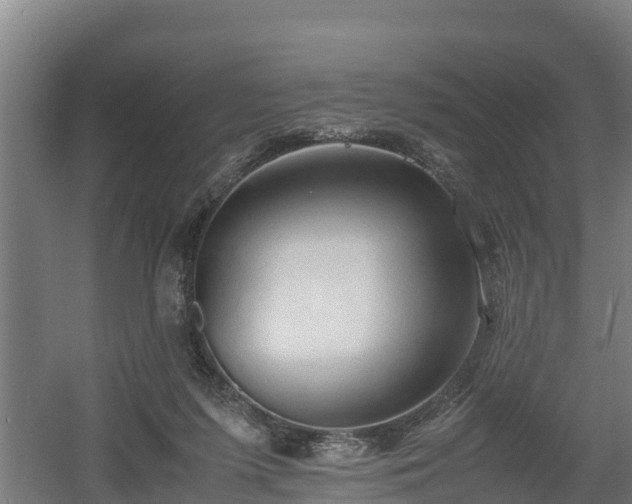 X0000060570215200511071028