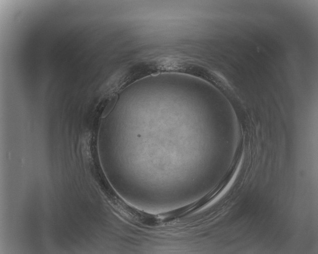 X0000060570217200511071028