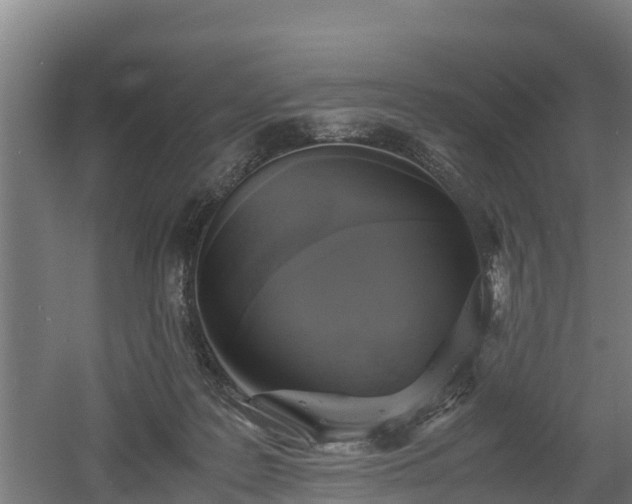 X0000060570219200511071028