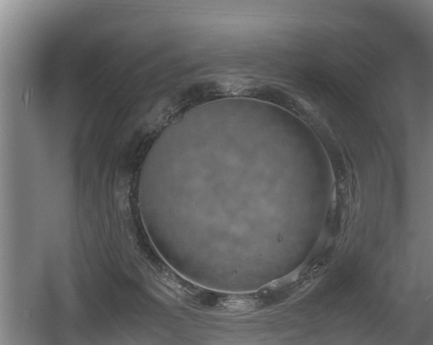 X0000060570221200511071027