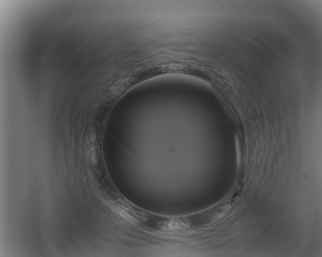 X0000060570223200511071027