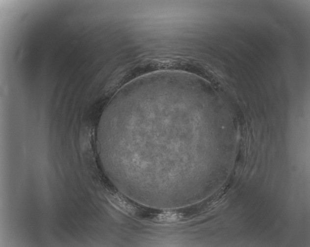 X0000060570225200511071027