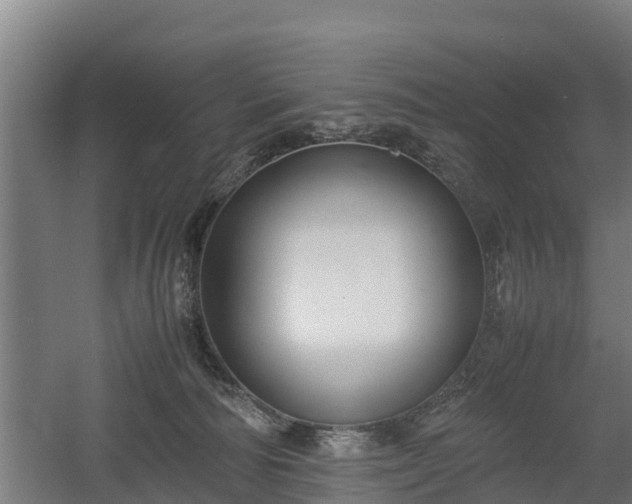 X0000060570226200511071027