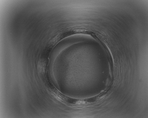 X0000060570227200511071027