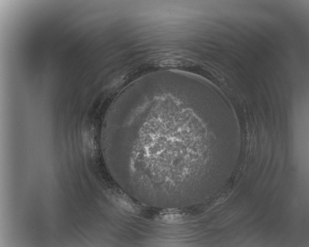 X0000060570228200511071027