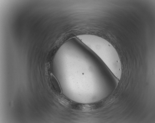 X0000060570229200511071027