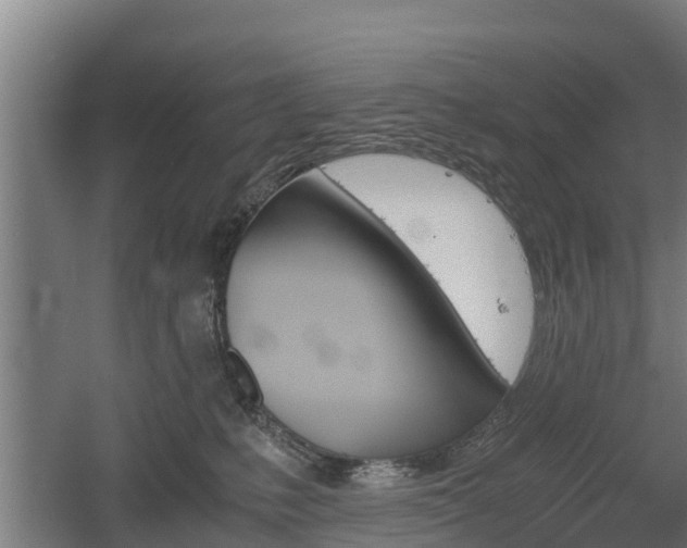 X0000060570231200511071027