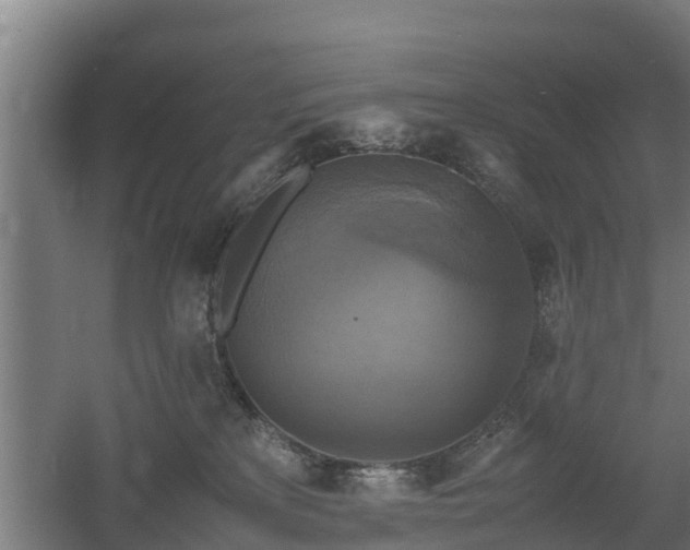 X0000060570233200511071027