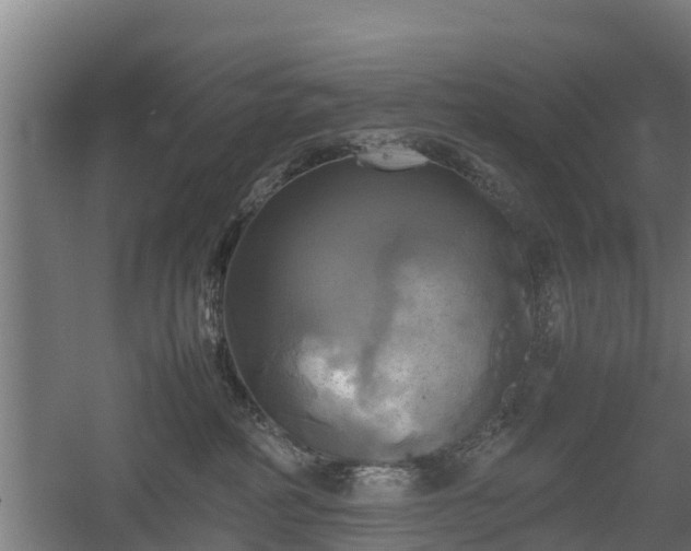 X0000060570234200511071027