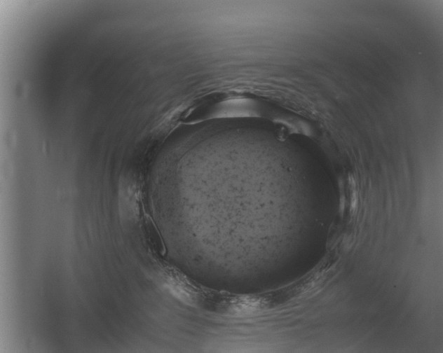 X0000060570235200511071027