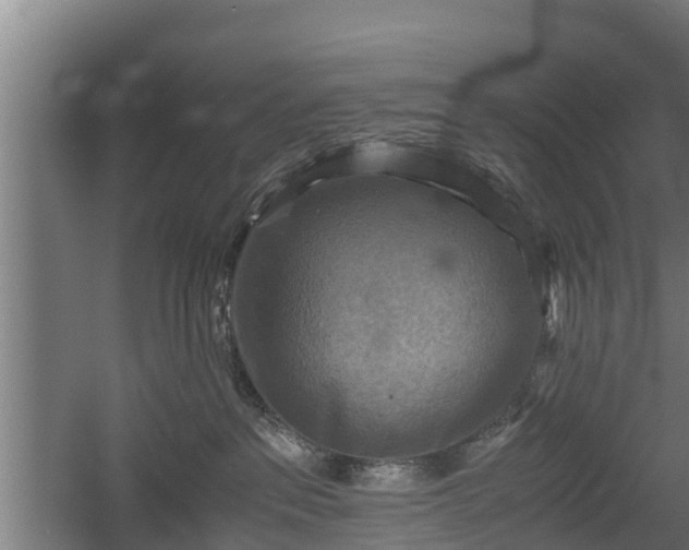 X0000060570237200511071027