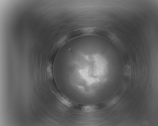 X0000060570238200511071027