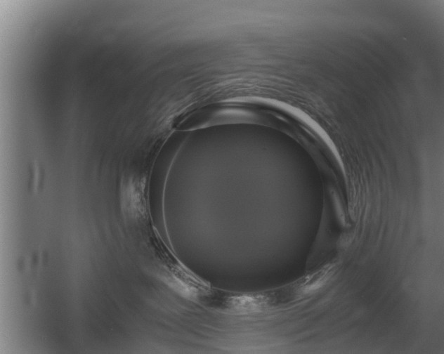 X0000060570239200511071027