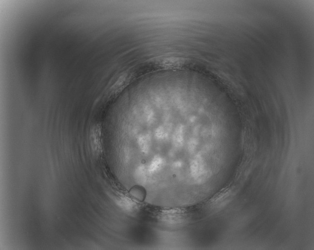 X0000060570240200511071027