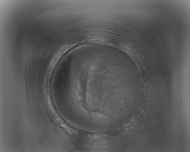 X0000060570241200511071026