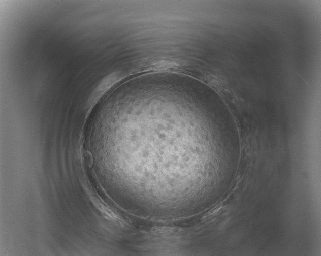 X0000060570242200511071026