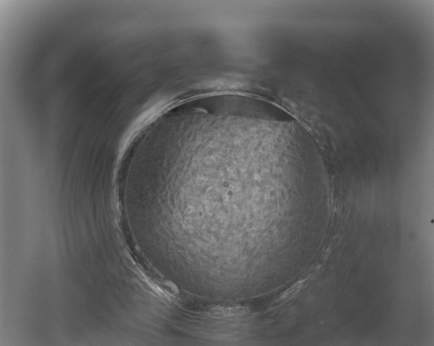 X0000060570245200511071026