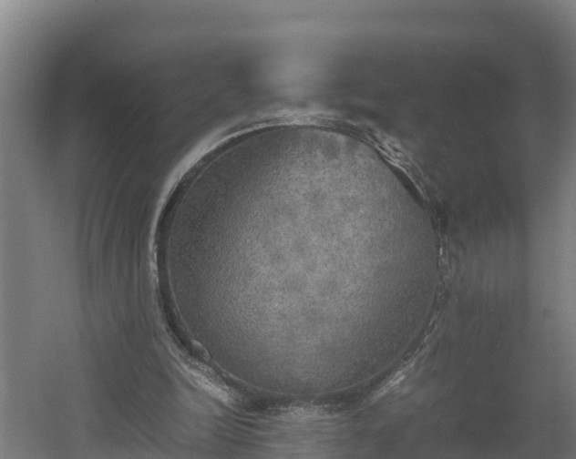 X0000060570246200511071026