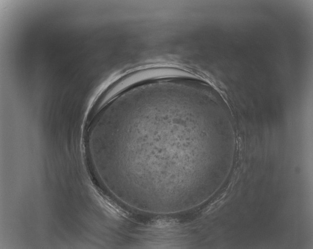 X0000060570248200511071026