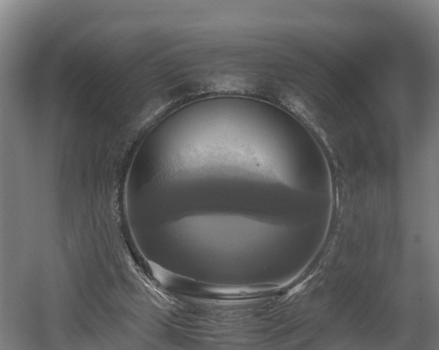 X0000060570249200511071026