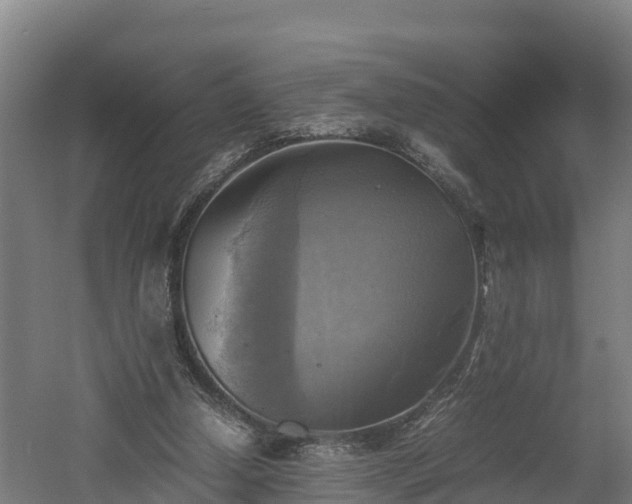 X0000060570250200511071026