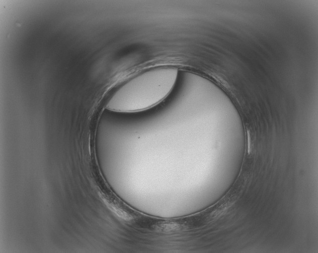 X0000060570253200511071027