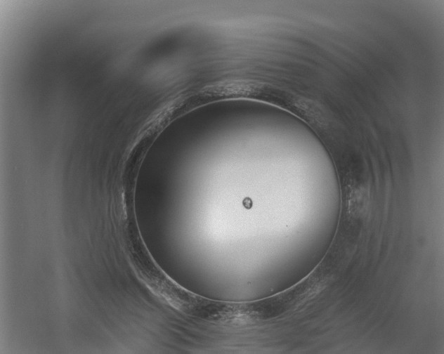 X0000060570254200511071027