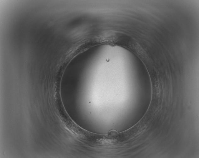 X0000060570255200511071027