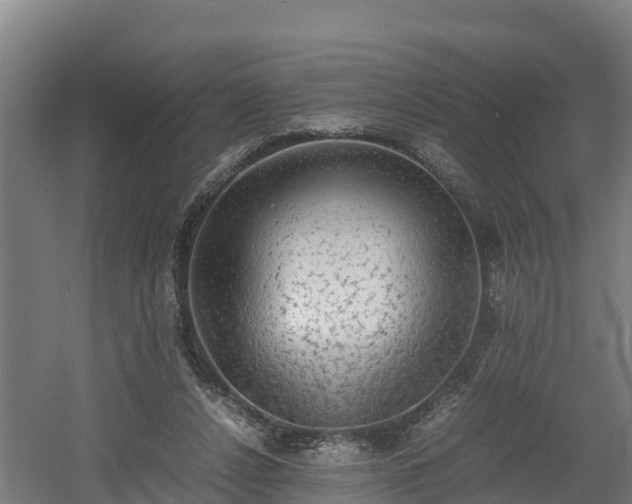 X0000060570256200511071027