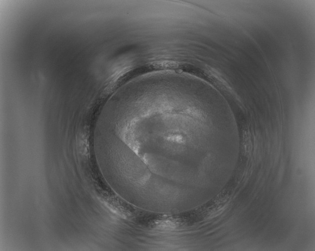 X0000060570259200511071027