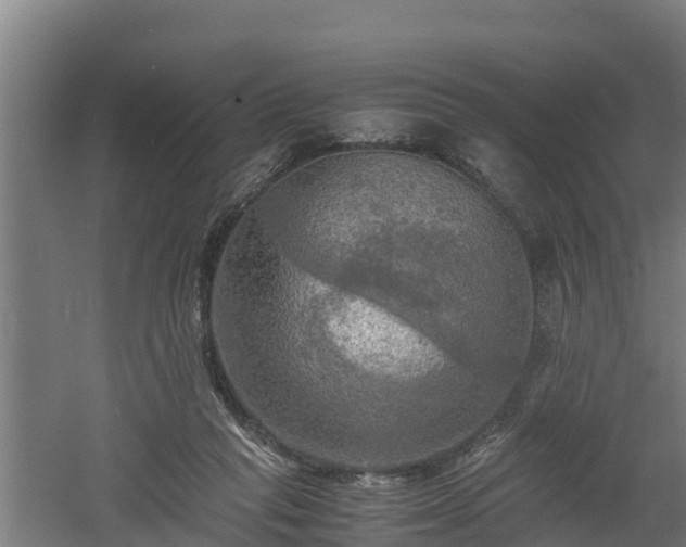 X0000060570261200511071027