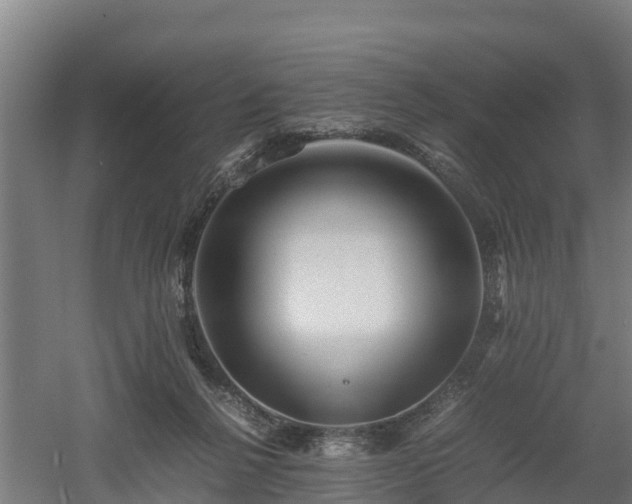 X0000060570264200511071027