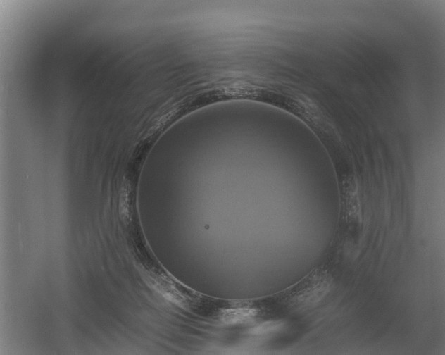 X0000060570266200511071027