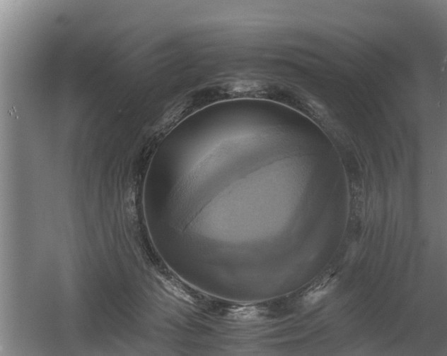 X0000060570269200511071027