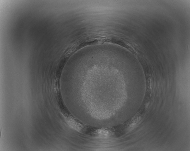 X0000060570272200511071027