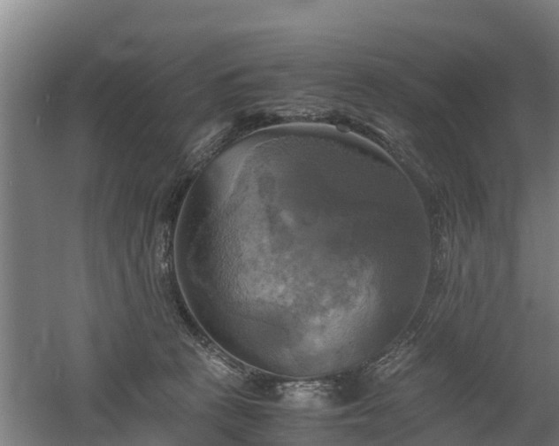 X0000060570273200511071027