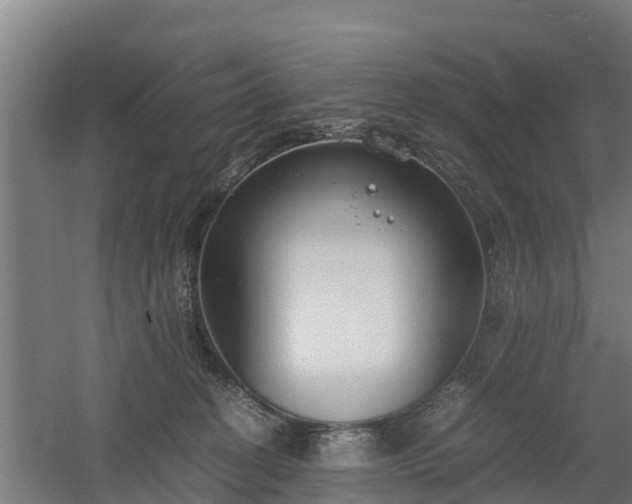 X0000060570274200511071027