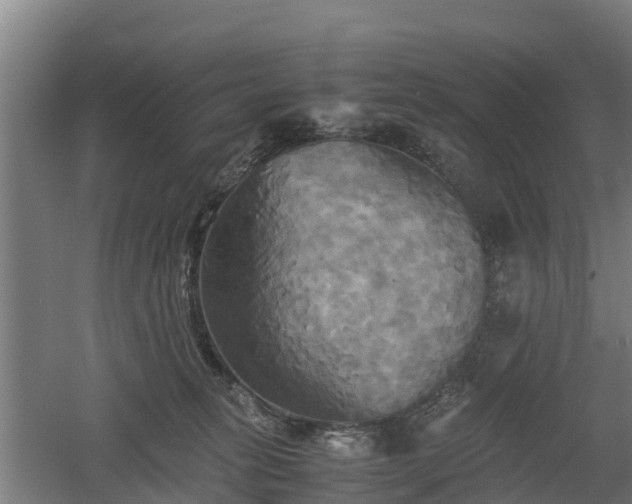 X0000060570275200511071027