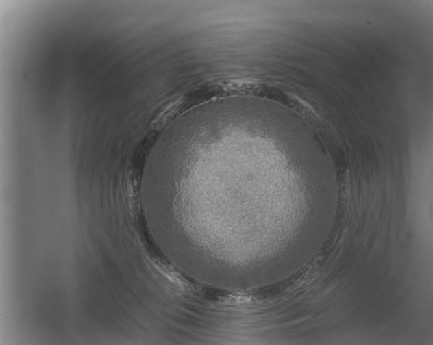 X0000060570276200511071027