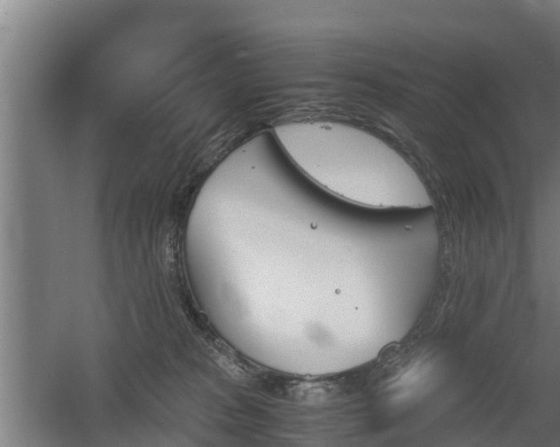 X0000060570277200511071027