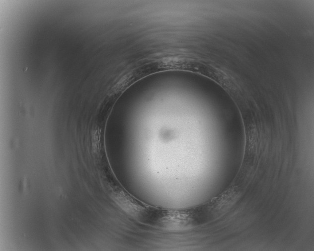 X0000060570278200511071027