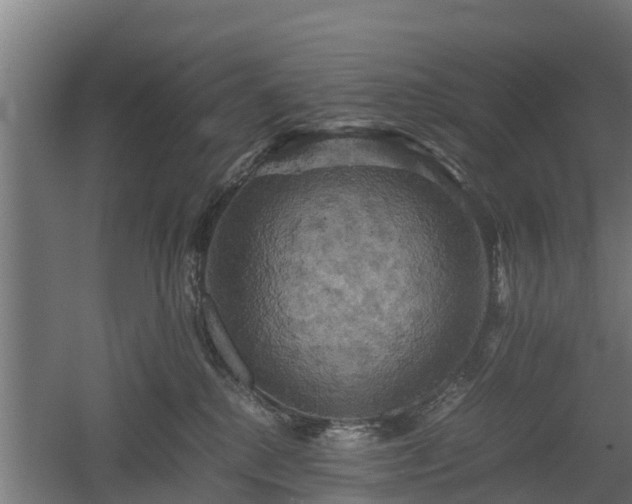 X0000060570280200511071027