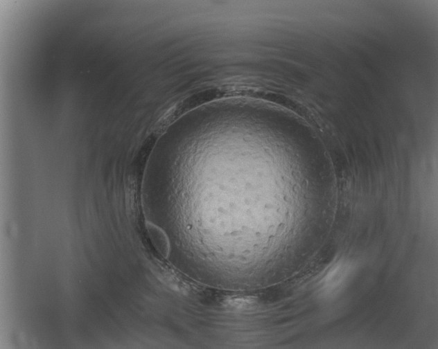 X0000060570283200511071027