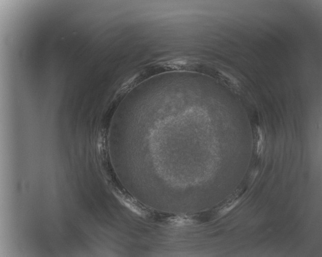 X0000060570284200511071027