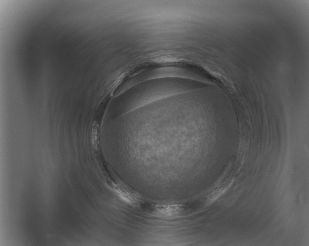 X0000060570288200511071027