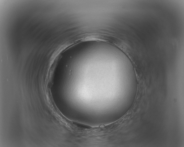 X0000060570289200511071026