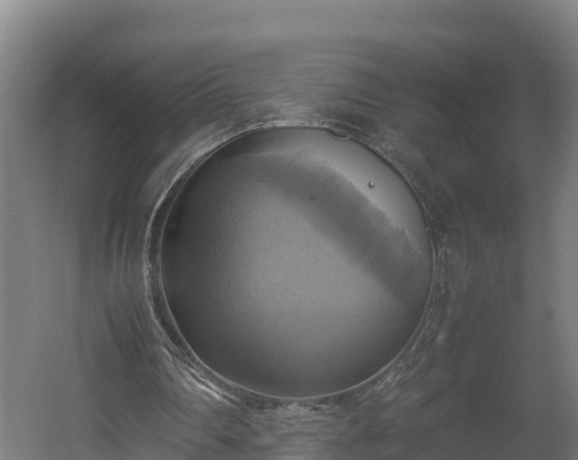 X0000060570290200511071026