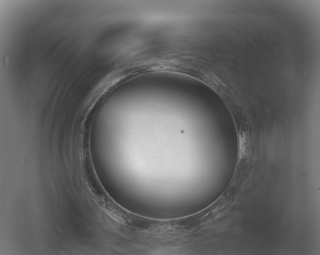 X0000060570291200511071026