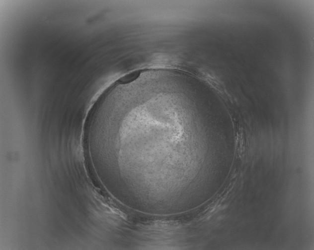 X0000060570292200511071026